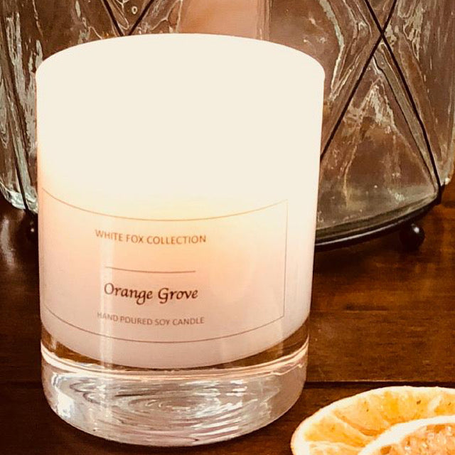 Orange Grove